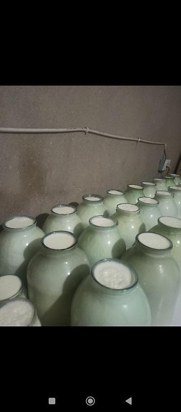 Məhsul: Evdə hazırlanmış qatıq (şüşə bankalarda) 3.80 qəpik 3 kq balon