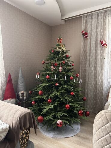 люстр бра светильников: Ёлки — 2