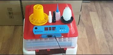 Inkubator inqibator inkibator inqubator 63 yumurtaliq zavod — 2