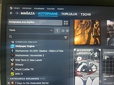 red dead redemption: Məhsul: Steam hesabı (T3CH9) Xüsusiyyətlər: - Səviyyə: 17 - Region — 6