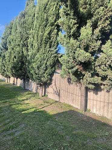 xalqlar dostluğu ev: Ağaclarla əhatə olunmuş həyəti və hasarı olan fərdi ev. Geniş yaşıllıq — 1