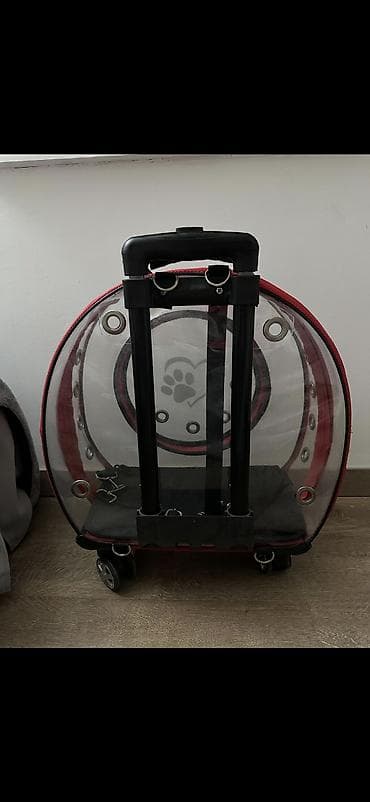 col dovsani satilir: MIGNO+ şəffaf təkərli ev heyvanı daşıma çantası/samokat tipli daşıyıcı — 3