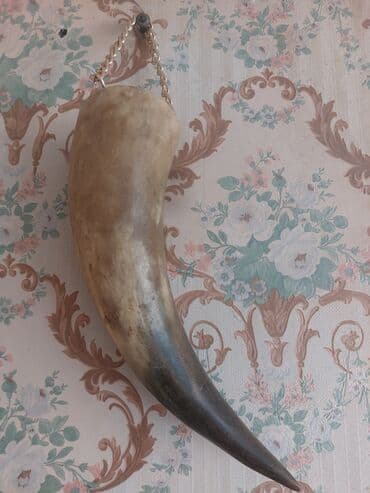 projektor satışı: Buynuz satilir — 1