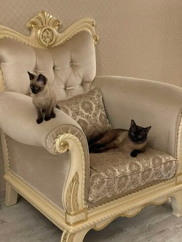 cütleşdirilir: Siam — 4