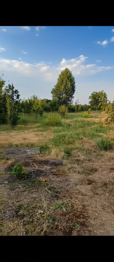 hökməli kirayə evlər: 18 sot, Biznes üçün, Mülkiyyətçi, Kupça (Çıxarış), Texniki pasport — 4