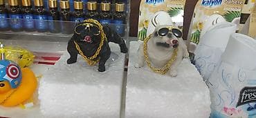 mcdonalds oyuncaq: Salam eziz musderilermiz yeni salon ucun site qoyulan gozel it ve — 6