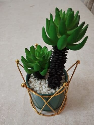 Nənnilər: Suviner hün 25 sm təzədir — 4