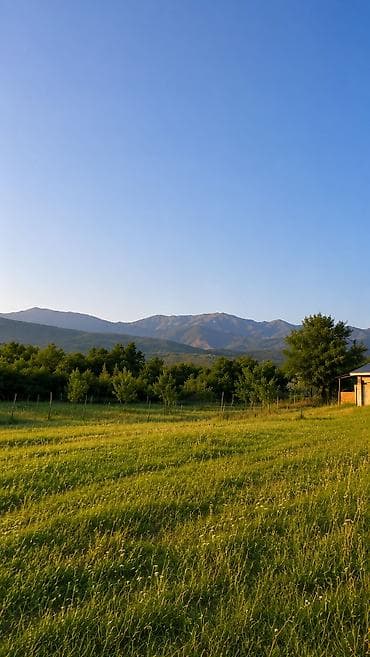 zabratda torpaq satilir: 50 sot, Mülkiyyətçi, Bələdiyyə — 5