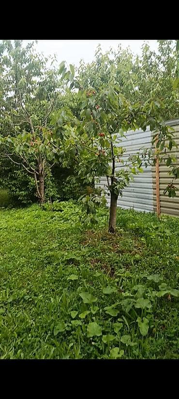 bilgehde torpaq: 7 sot, Tikinti, Mülkiyyətçi, Kupça (Çıxarış) — 1