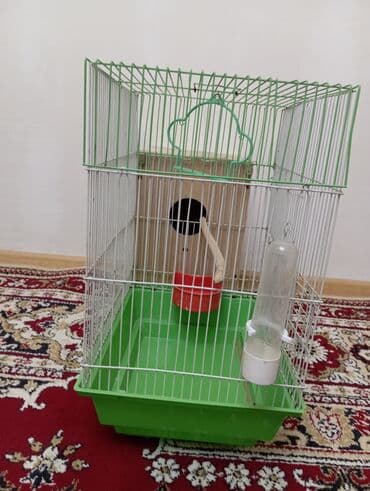 Xaltalar, qayışlar və tasmalar: Salam göründüyü kimidi real alıcıya endirim olajax Quş qəfəsi və — 3