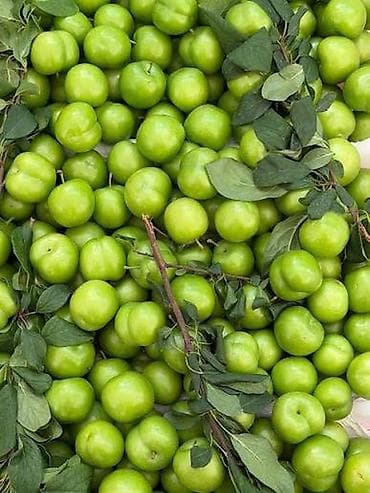 meyvə şəkilləri: Təmiz Göycə şəhər daxili boltla catdırma var super dadlı çiyələylərdə — 3