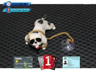 qubada ucuz avtomabiller: Dekorativ it ag 🚙🚒 ünvana və bölgələrə ödənişli çatdırılma 💳birkart — 1