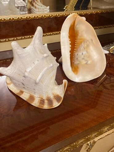 Qab-qacaq və mətbəx ləvazimatları: Fiqur — 2