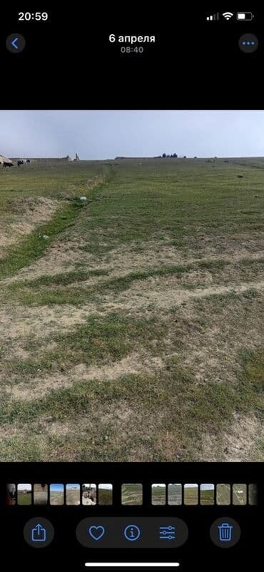 купить участок в бузовнах: 12 соток, Для строительства, Собственник, Купчая — 2