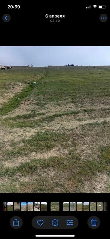 ramana gülçülük sovxozu: Для строительства, Купчая — 5