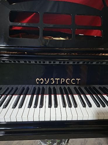 Пианино: Рояль, Акустический — 5