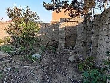 torpaa: Tikinti, Kupça (Çıxarış) — 5