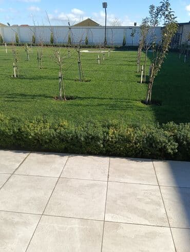 Gübrələr: Torf gübresinin satsi ve ýaşillik isleri — 1