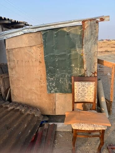 Akvarium aksessuar və ləvazimatları: Göyərçinlər zabratdadı hamsı uçan quşlardı isdəyən olsa gəlsin həyətdə — 8