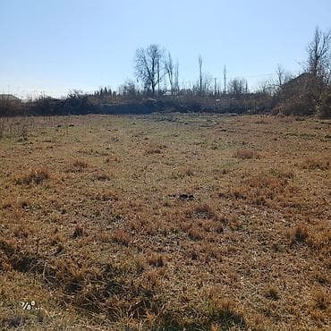 Qarajlar: 30 sot, Tikinti, Mülkiyyətçi, Bələdiyyə — 6