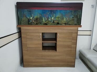 Akvariumlar: Dördbucaq akvarium, Boş, 500 l, Ünvandan götürmə