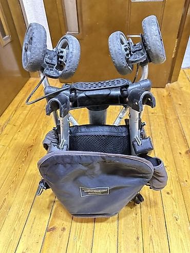 usag oturacagi: Klassik gəzinti arabası — 2