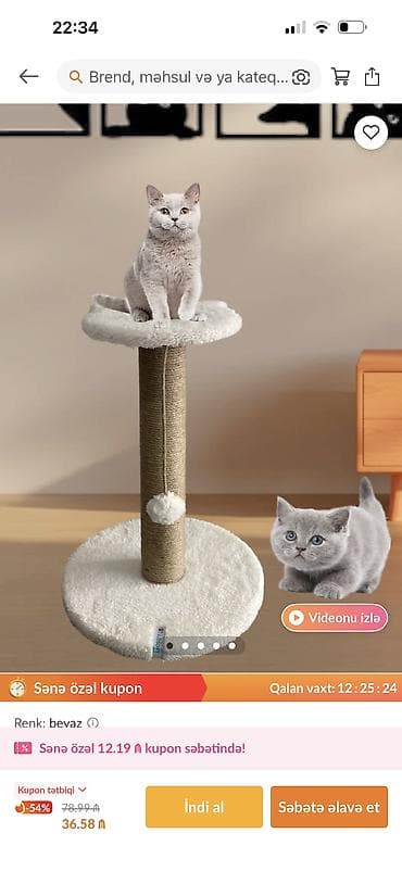 pisik oyuncaqlari: Pişik üçün dırmac, trendyoldan 36 aznə alınıb — 8