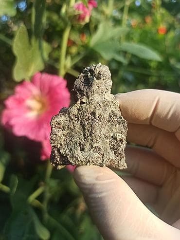 Nadir tapılan Qızılı görünüşdə Xalkopirit ( ChalcoPyrite ) daşı 💎 ✨ 🧐