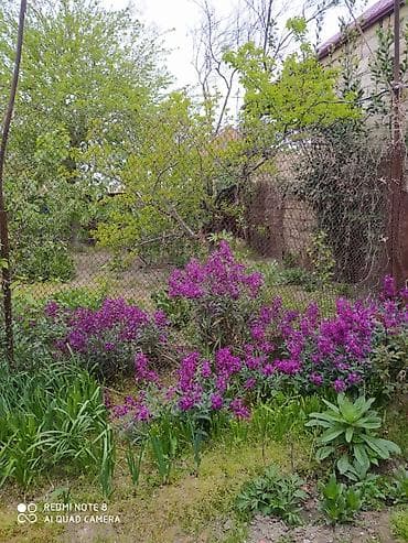 Квартиры: 2 комнаты, 48 м², Нет кредита, Средний ремонт — 6