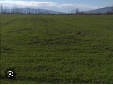 saray qəsəbəsində ucuz torpaqlar: 91 sot, Kənd təsərrüfatı, Mülkiyyətçi, Bələdiyyə — 8