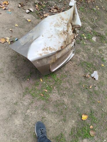 w210 radiator barmaqlığı: Məhsul: Avtomobilin arxa baqaj qapağı (metal) – bej/qızılı rəng — 1