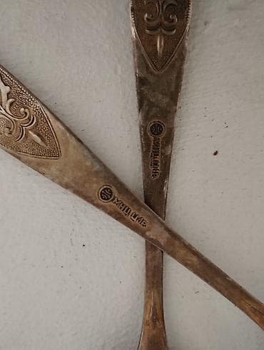 beşik içi: Qaşıq 2 edət — 6