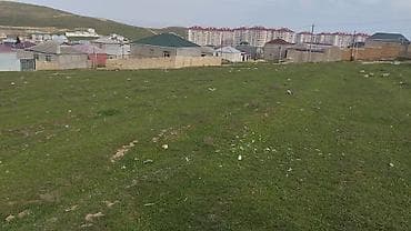 topaq: Tikinti — 5