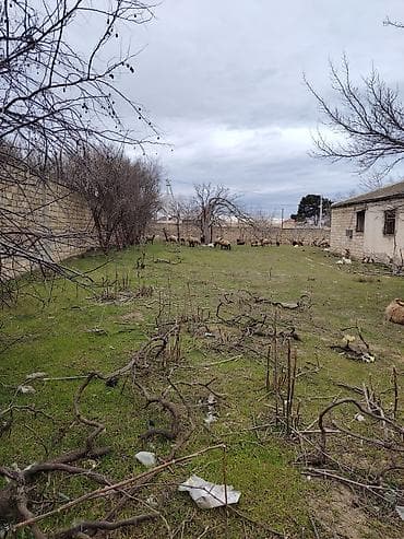 Дома: 22 соток, Для строительства, Риэлтор, Купчая — 7