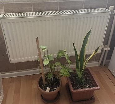 1 ədəd zal qapısı 120;2, 3ədəd 2;80, 2 ədəd 60;2 qapıların birinin