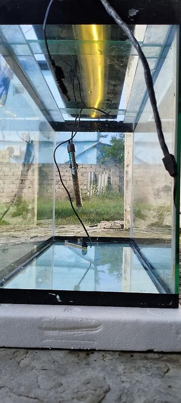 baliq: Dördbucaq akvarium, Boş, 80 l, Ünvandan götürmə — 2