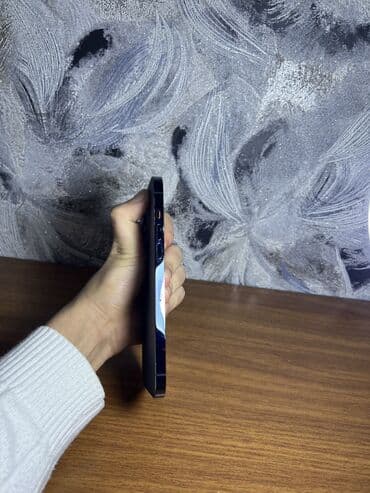 işlənmiş iphone kreditlə: IPhone 12 Pro Max, 128 GB, Pacific Blue, Simsiz şarj, Face ID — 4