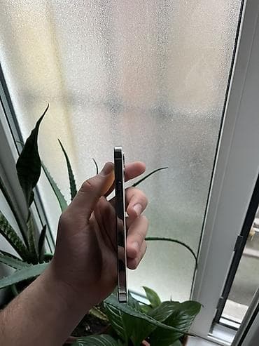 kabura iphone x: IPhone 12 Pro, Ağ, Simsiz şarj — 4