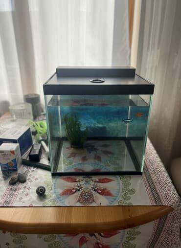 cuce yem qabi: Akvaryum dəsti 1 akvaryum tezedi qalan herwey iwlenmiwdi ekseryeti az — 3