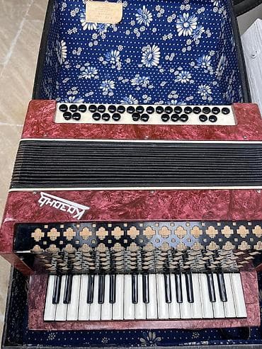 beqavoy satisi: Akustik Akkordeon, İşlənmiş — 6