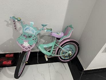 usag ucun: Uşaq velosipedi – “Princess” temalı, 2 təkərli Xüsusiyyətlər: - Rəng — 5