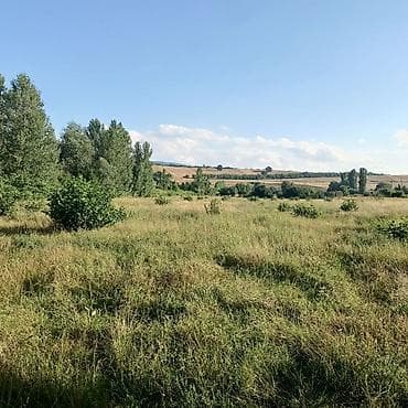 yaşma torpaq: Salamu Aleykum İsmayıllı rayonu da torpaq sahəsi satılır istəyən olsa — 2