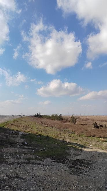 fatmayıda torpaq: Biznes üçün — 7