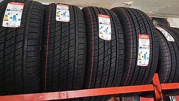 tracmax teker: Petlas Explero A/S PT411 yay/all-season şinləri - Ölçü: 265/65 R17 - — 3