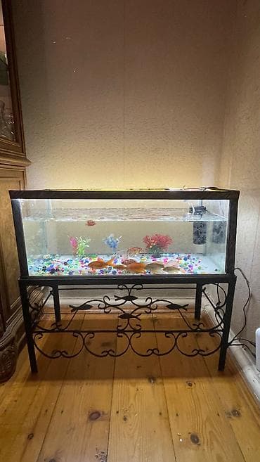 Зоотовары: Salam altdıgı demir akvarium havalandırma matoru var balıglarda — 2