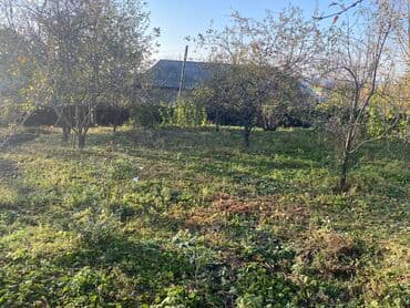 qubada torpaq satilir 2020: 10 sot, Mülkiyyətçi, Kupça (Çıxarış) — 7