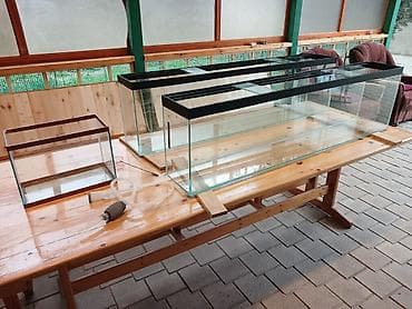 akvarium satılır: Akvaryum dəsti - 3 ədəd şüşə akvaryum: ikisi uzun ölçülü, üst hissədə — 1