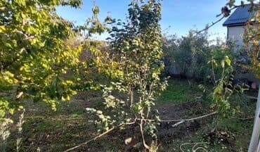 otel icareye verilir 2019: Xudat, 45 kv. m, 2 otaqlı, Hovuzsuz, Qaz, İşıq, Su — 6