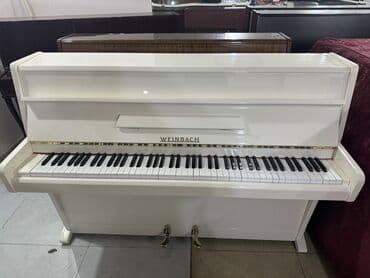 прокат плейстейшен 5: Пианино, Petrof, Акустический — 13