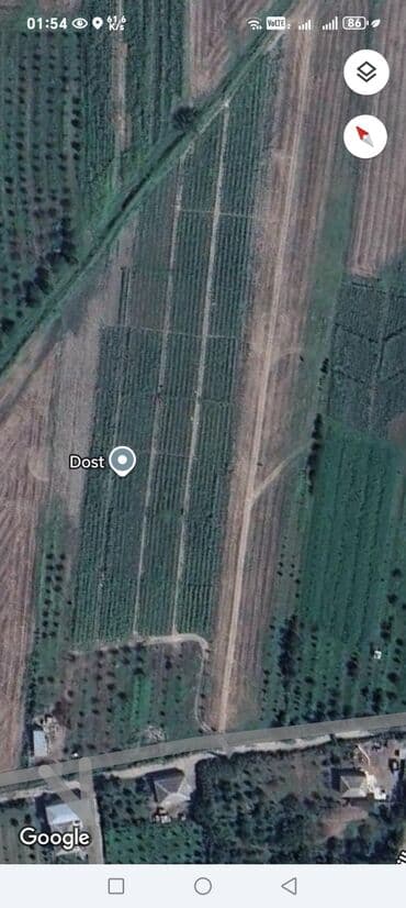 cülyan kəndi: 155 sot, Kənd təsərrüfatı, Mülkiyyətçi, Kupça (Çıxarış) — 3